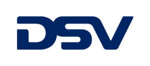 dsv dsv logo