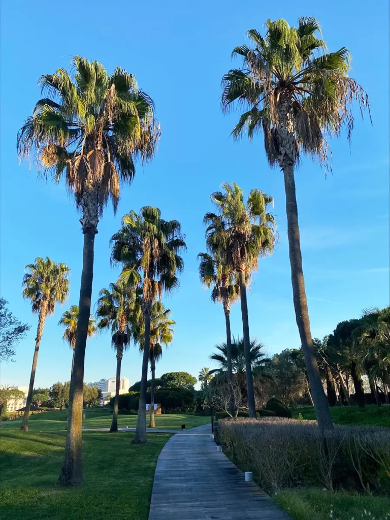 Zebra CPS For Emea 2024-6 Faro - Zebra CPS For Emea 2024